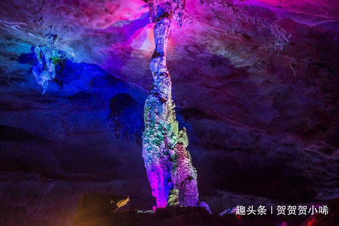 大白猫逃脱